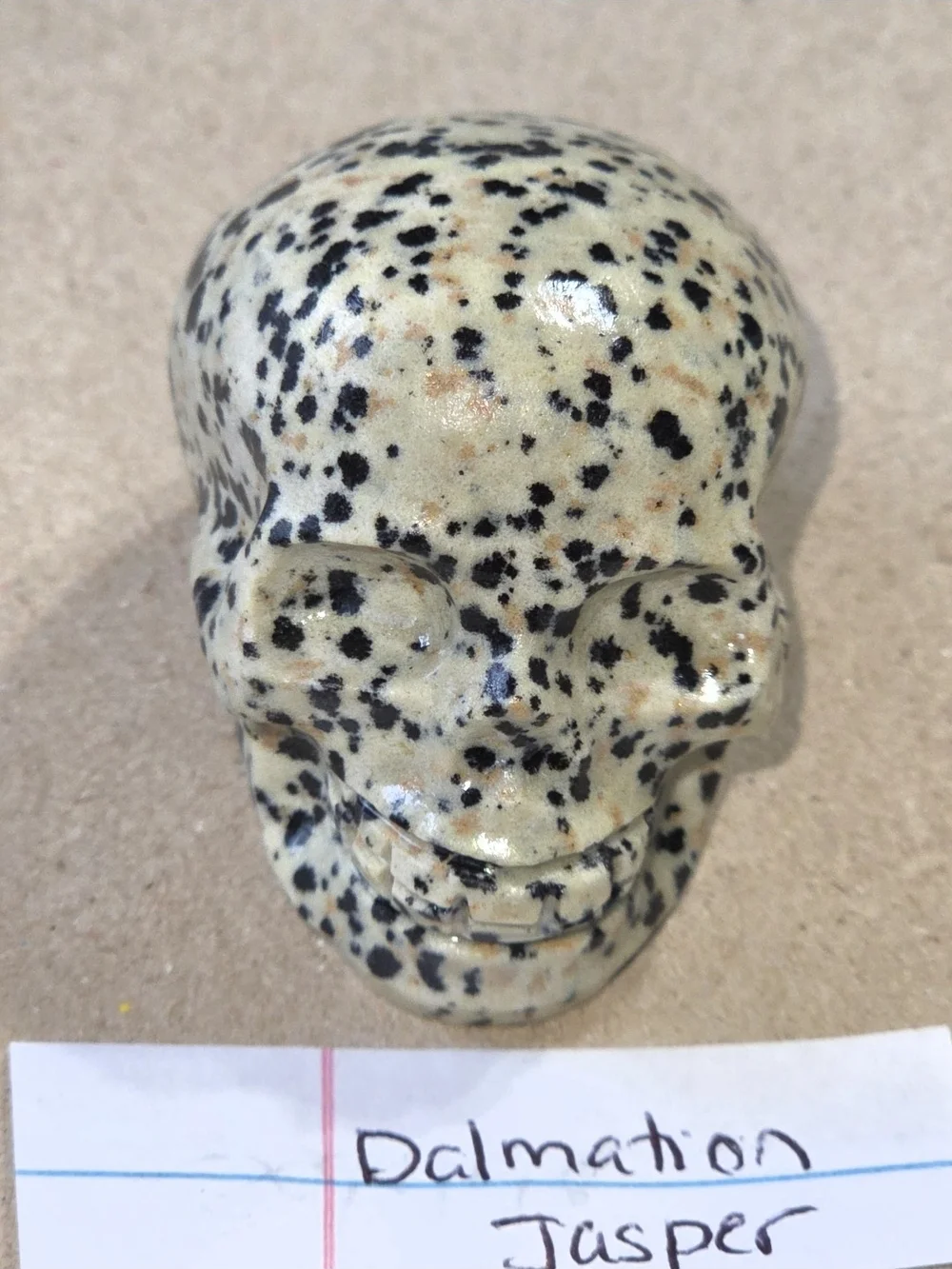 Detailed Dalmatian Jasper Crystal Carved Skull Stone Sculpture Decor